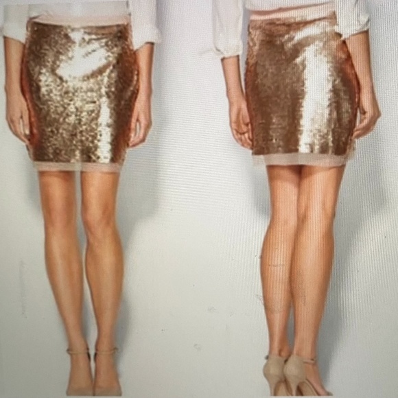 Sabine Dresses & Skirts - Sabine gold sequin skirt with mesh trim- Medium